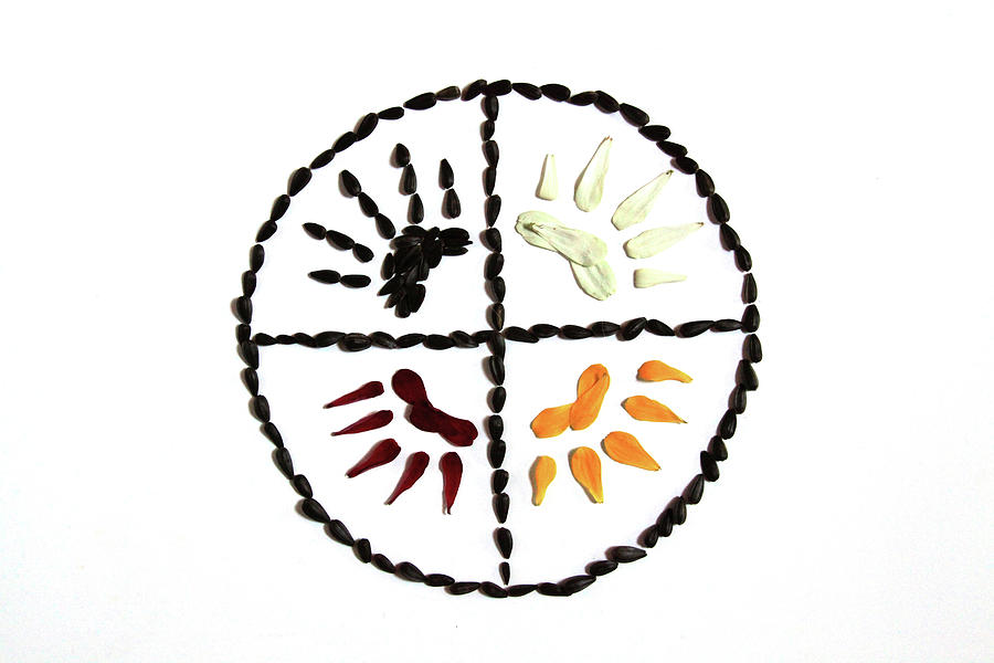 900x600 Bear Claw Medicine Wheel Photograph