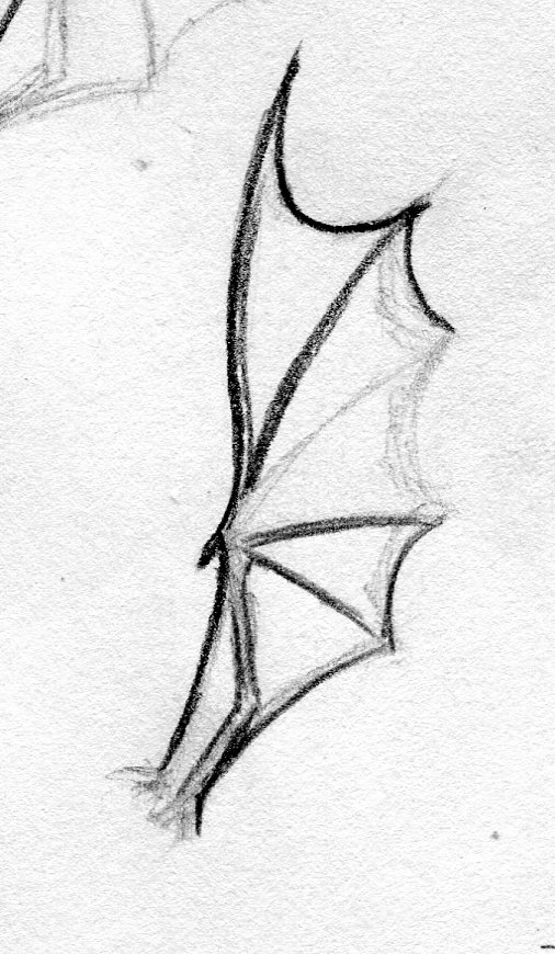 506x870 The World's Newest Photos Of Doodle And Dragon