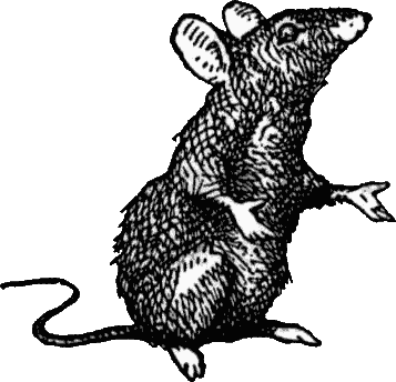 357x344 Collection Of Free Rat Transparent Medieval Download On Ui Ex