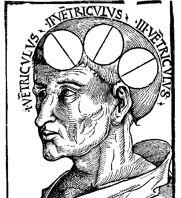 590x644 Medieval Drawing, Pencil, Sketch, Colorful, Realistic Art Images