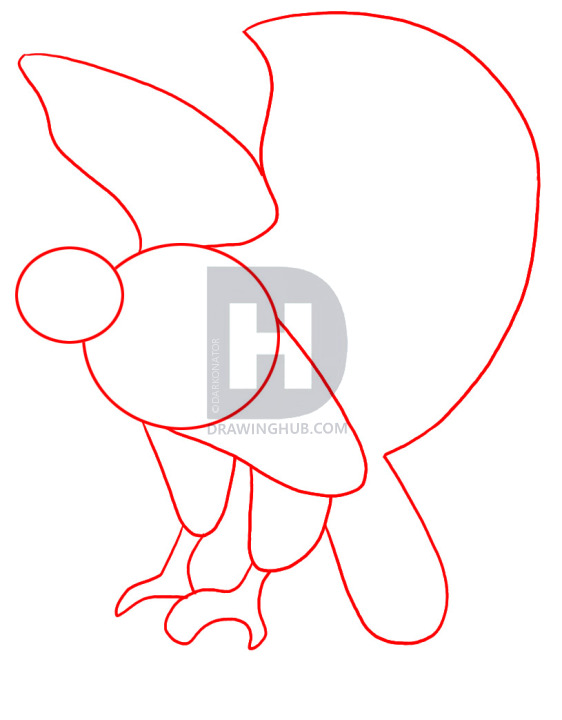 562x720 How To Draw A Falcon, Step