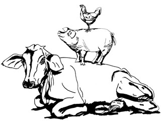 320x240 Search Photos