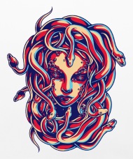 190x228 Medusa Snake Head Greek Mythology Gift Monster Pillowcase X