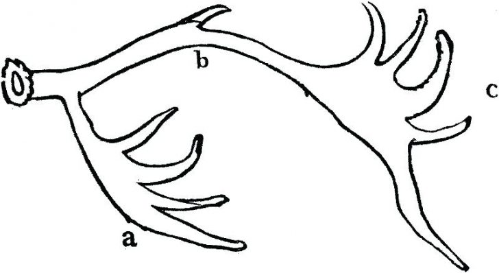 728x398 Coloring Pages Printable Pdf Online For Adults Easy How To Draw