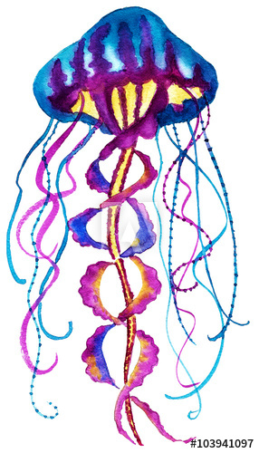 286x500 Watercolor Painting Jellyfish Medusa Illustration Isolated