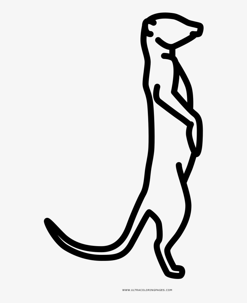 820x1007 meerkat coloring page