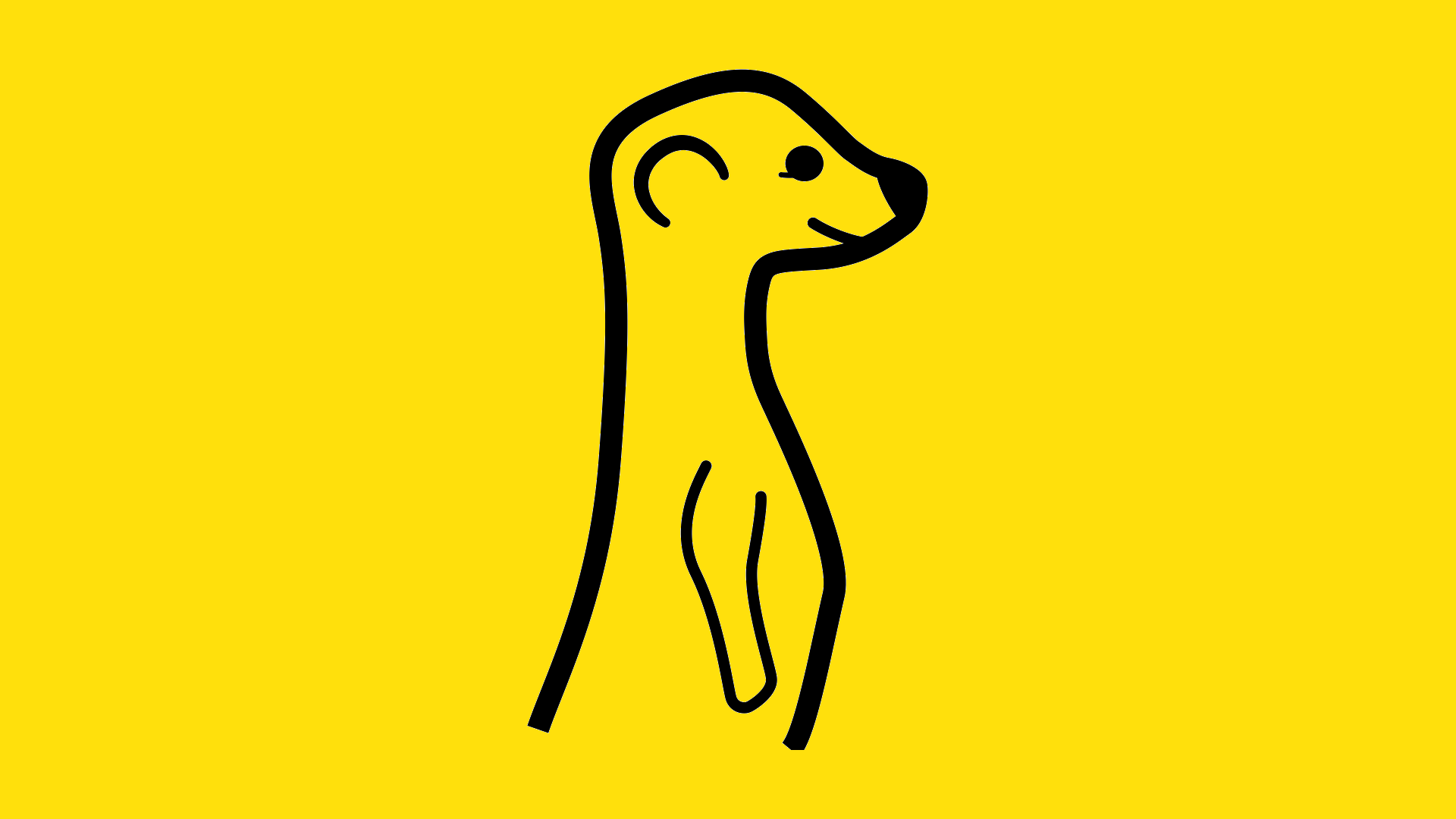 1920x1080 what on earth is meerkat and why should brands care