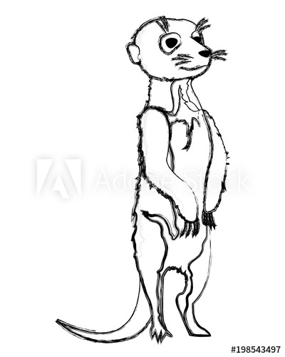 400x500 grunge cute wild meerkat animal in the desert