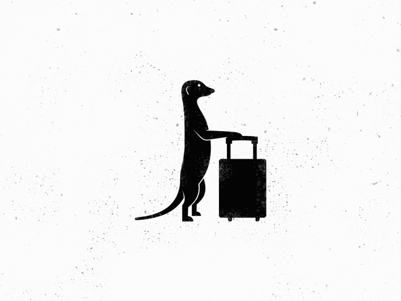 800x600 meerkat travel dribbble ui camisetas
