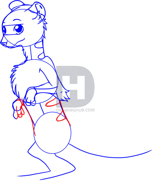 602x720 how to draw a meerkat, step
