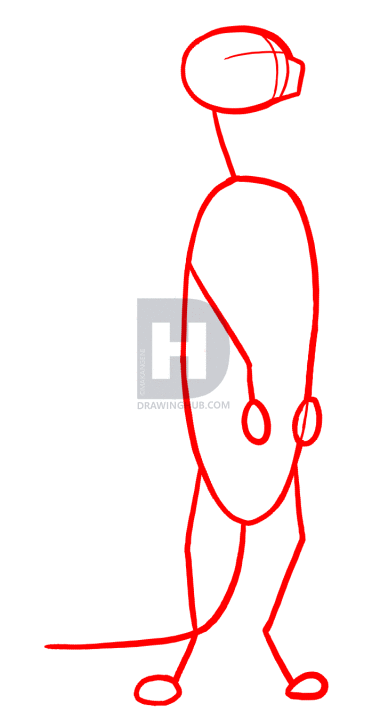 372x720 How To Draw Meerkats, Step