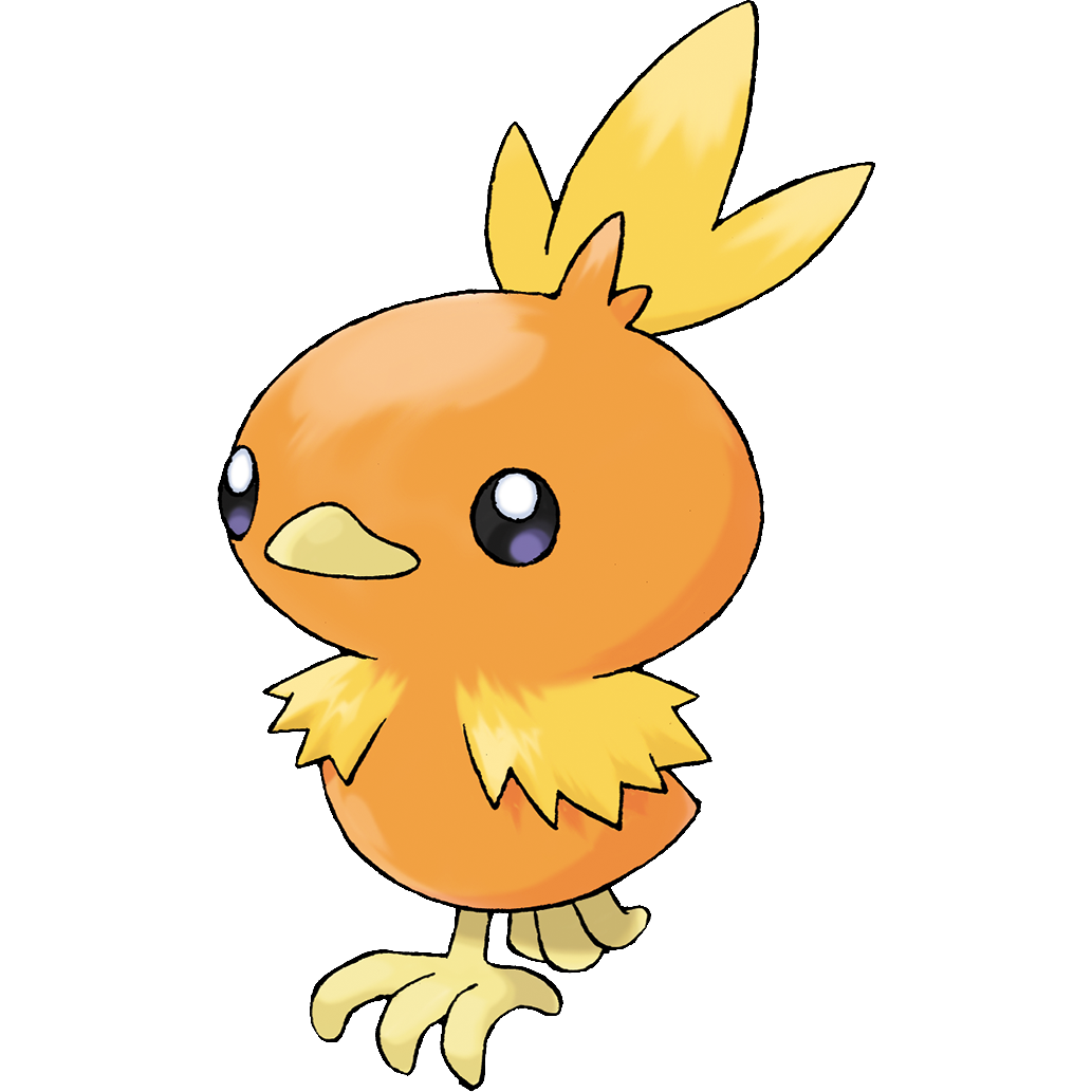 1033x1033 Torchic