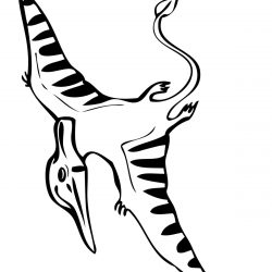 250x250 Coloring Of Mewtwo Mega Y