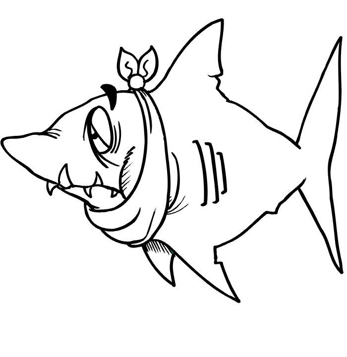 700x720 How To Draw Megalodon Step