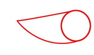 302x177 How To Draw How To Draw Megalodon, Megalodon Shark