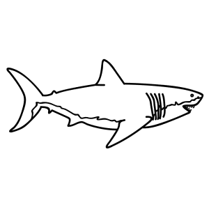 300x300 Learn How To Draw Animals Step