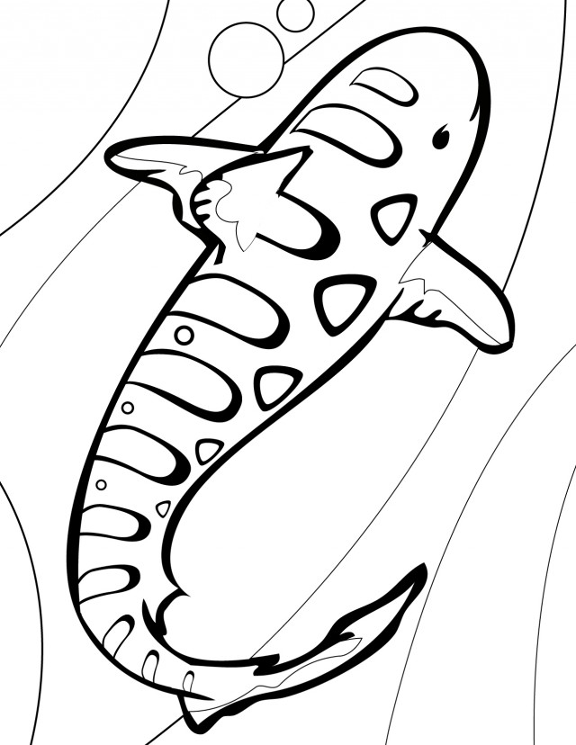 640x828 Megalodon Coloring Pages Az Coloring Pages, Megalodon Shark