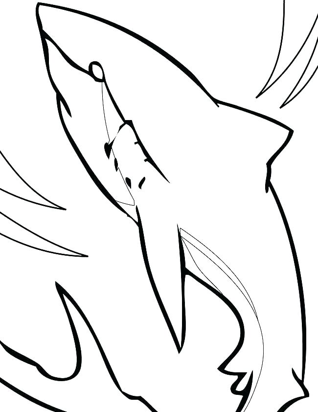 650x841 Realistic Megalodon Shark Coloring Pages Coloring Pages