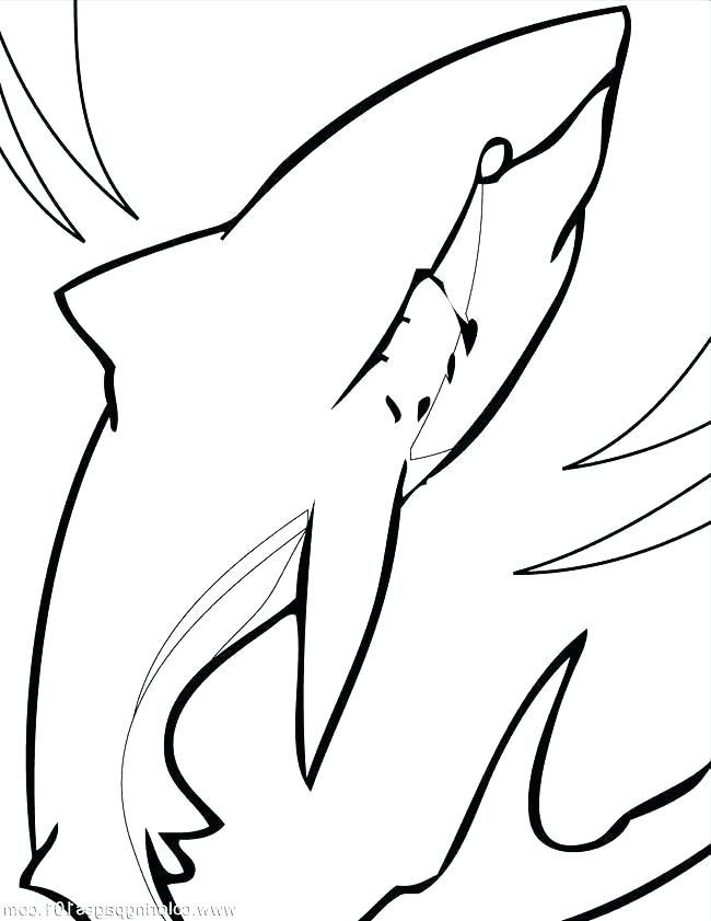 650x841 Megalodon Coloring Pages