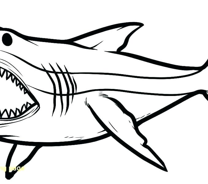678x600 Megalodon Coloring Pages