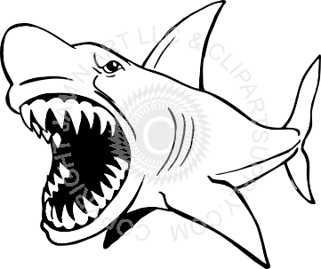361x303 Collection Of Free Sharks Drawing Megalodon Download On Ui Ex