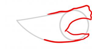 302x177 How To Draw How To Draw Megalodon, Megalodon Shark