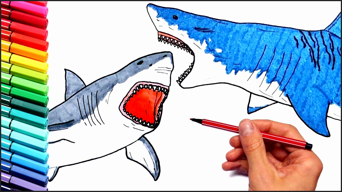 1190x669 Marine Science Coloring Book Megalodon Shark Coloring Pages