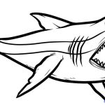 150x150 Luxury How To Draw A Megalodon Shark Webadda