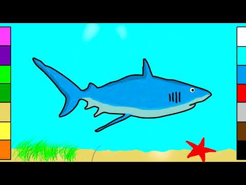 480x360 How To Draw A Shark Megalodon