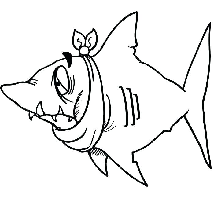 700x720 Megalodon Drawings Zupa