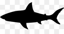 260x140 Great White Shark Drawing Megalodon