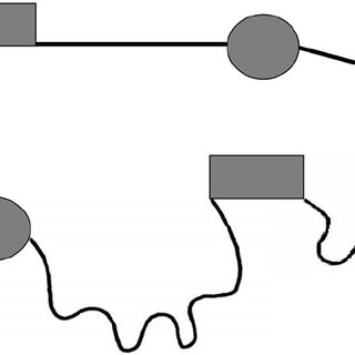320x320 Examples Of The Stimuli Of The Sit