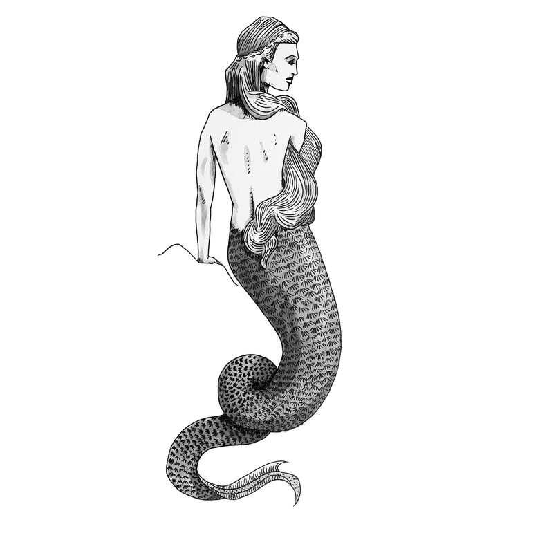 794x794 Mermaid Ink Line Drawing Print Black And White Ink Etsy