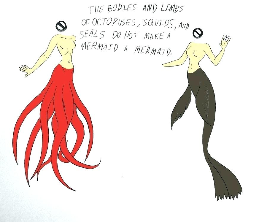 900x748 Easy Mermaids To Draw