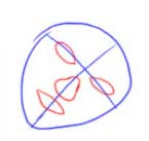 302x285 How To Draw A Mermaid Face, Step