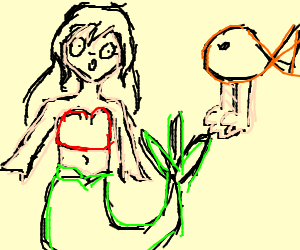 300x250 Mermain Meets Reverse Mermaid