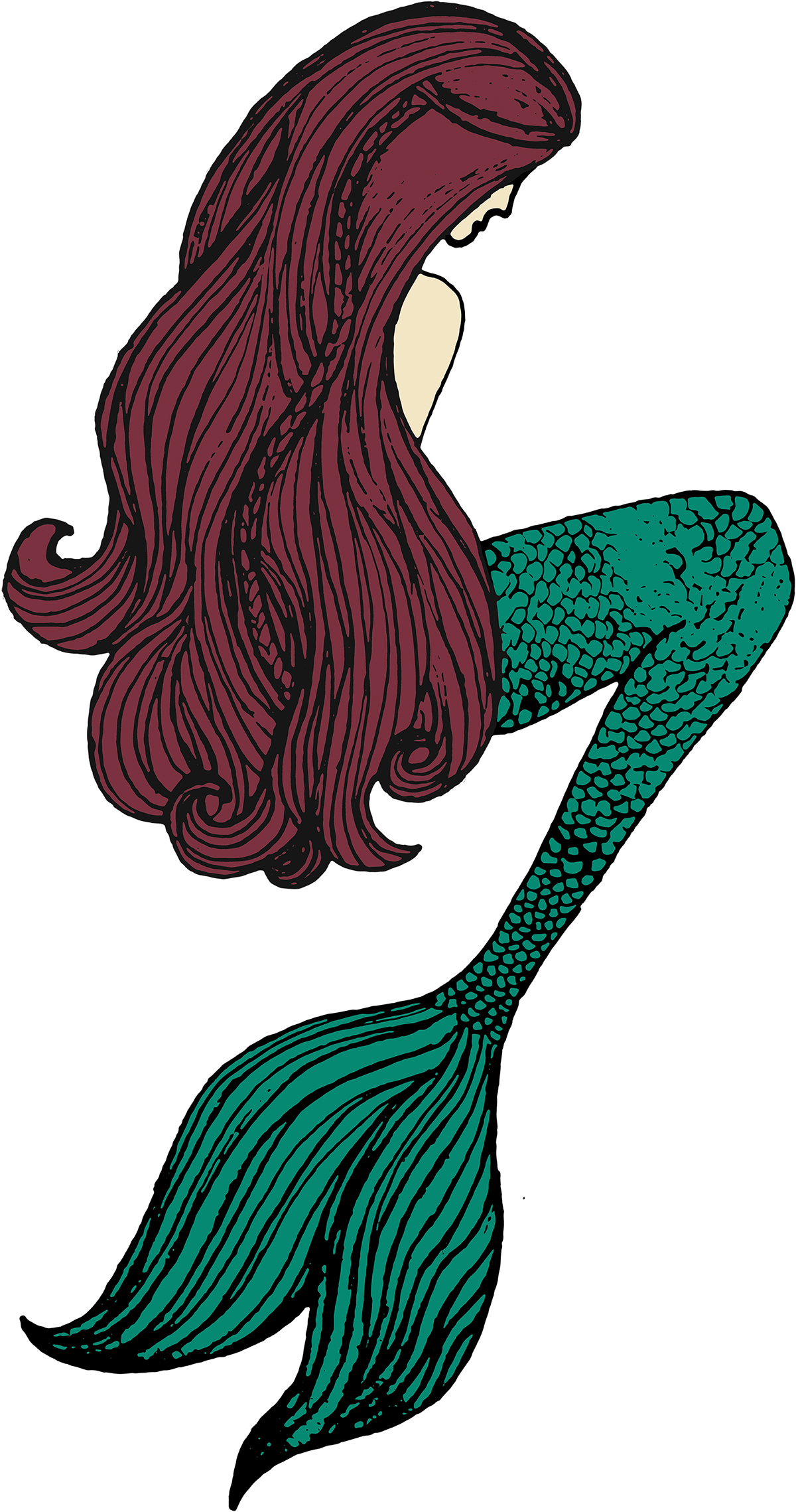 Mermaid Hair Drawing Free download on ClipArtMag