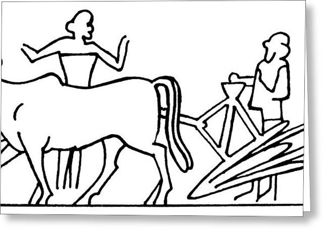 646x470 mesopotamia greeting cards