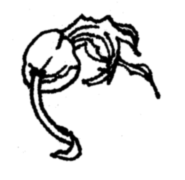 629x611 Ricki Outis Textile Message Searching For Myself