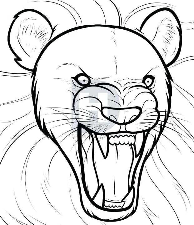 621x720 Drawing A Lion Drawing Of A Lion How To Draw A Lion Roaring