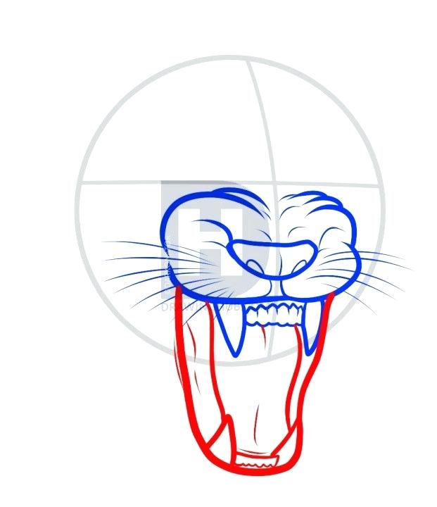 621x720 How To Draw A Liom