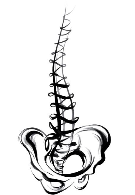 458x660 Spine Drawing