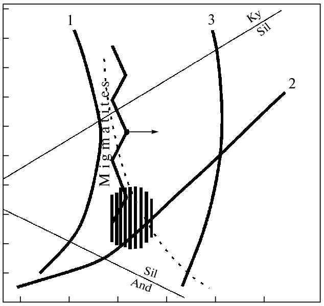 634x599 The Assumed Area Of The Metamorphism's P T Parameters For Rocks