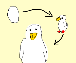 300x250 Metamorphosis