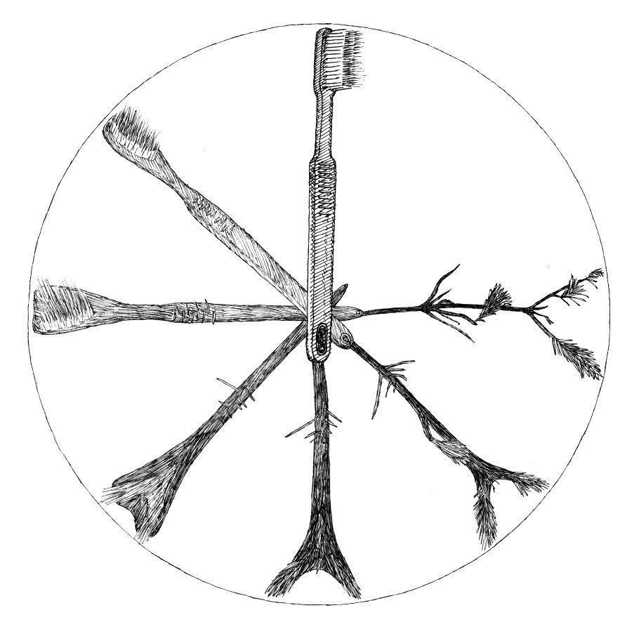 910x896 Metamorphosis Art Drawings