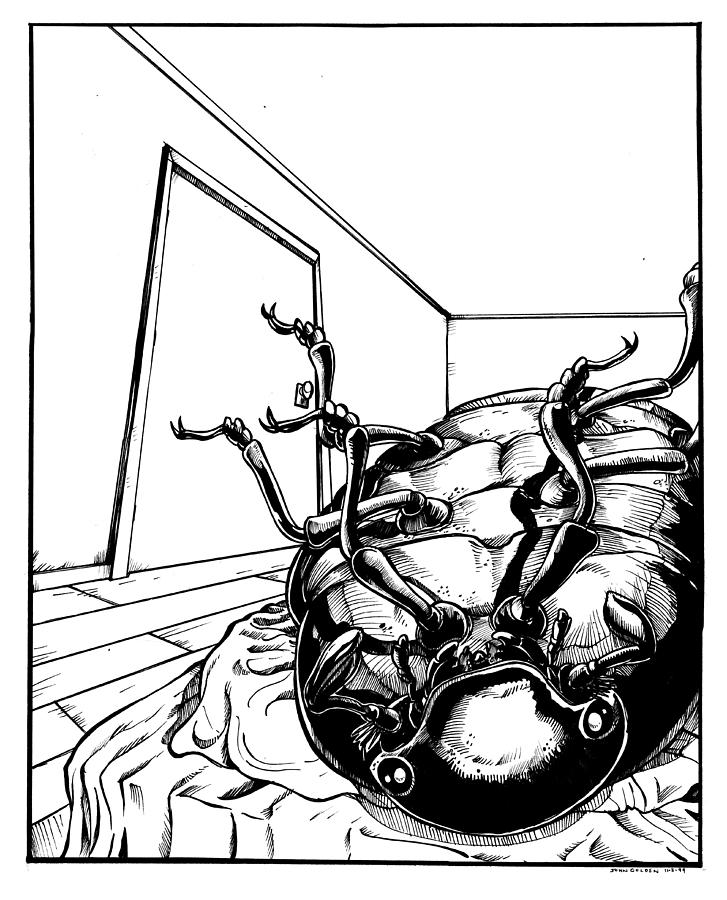 727x900 The Metamorphosis Drawing