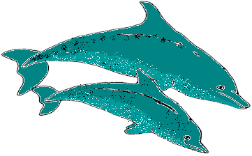 361x224 Collection Of Free Dolphin Drawing Metamorphosis Download On Ui Ex