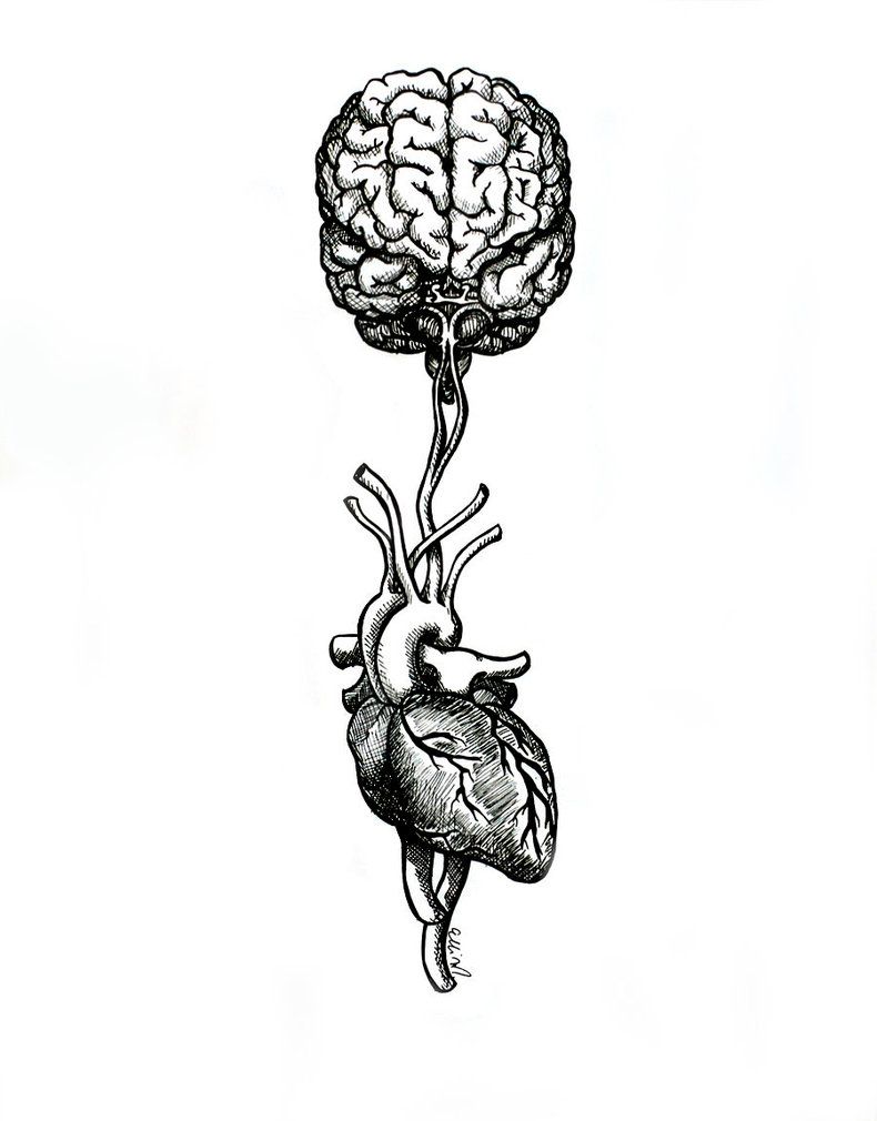 790x1010 ink on bristol board, tried to keep it as anatomically correct as