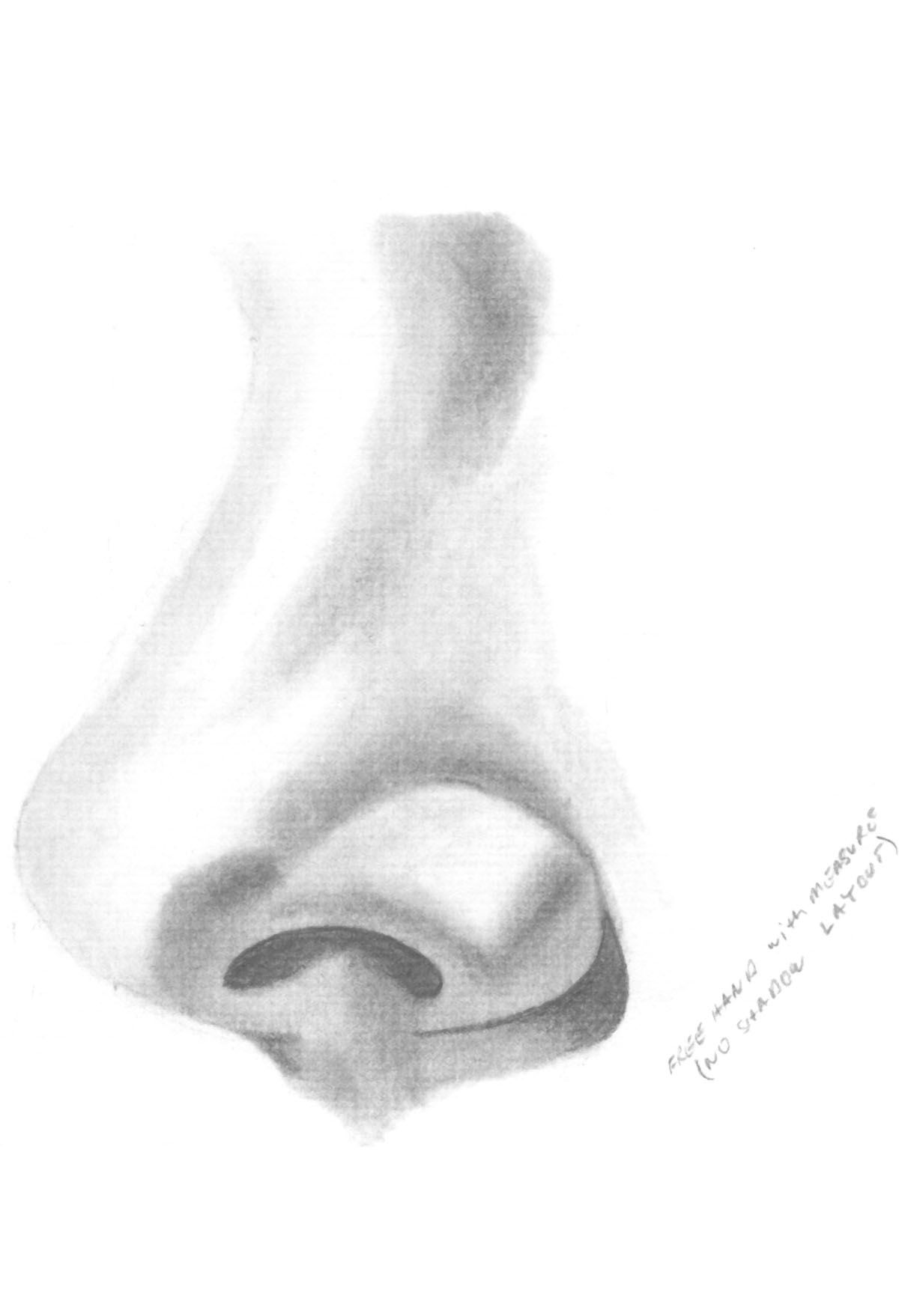 1200x1758 How To Draw Noses How To Learn To Draw And Paint Portraits Harry