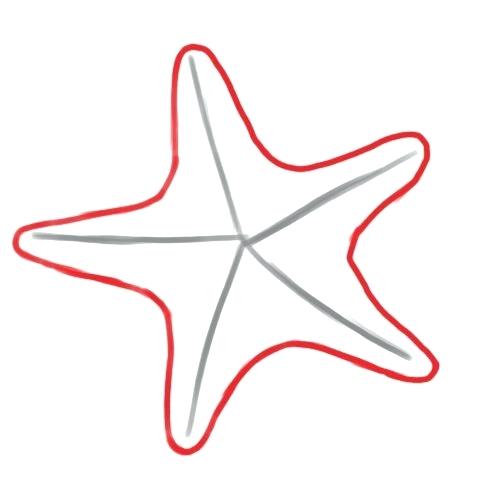 500x500 Starfish Drawing How To Draw A Starfish Now I Always Use This